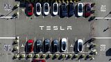Tesla vehicles line a parking lot at the company's Fremont, Calif., factory, on Sept. 18, 2023. 