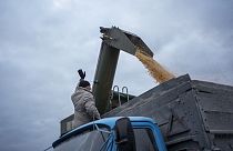 Ukrayna'nın Sumy bölgesinde bir çiftçi cephe hattının yakınında bir kamyona tahıl yüklerken 