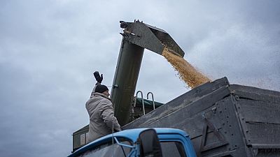 Ukrayna, tahılını dünyaya ulaştırmanın yeni bir yolunu buldu