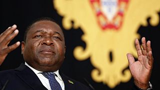 Mozambique unveils ambitious $80 billion energy transition plan