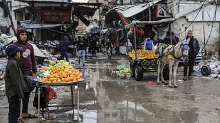 أكشاك لبيع الفواكه في قطاع غزة 