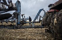 A farmer operates a tractor at a cornfield in Sumy region, Ukraine