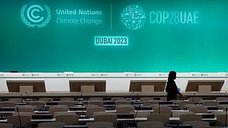 Dubai prepares to host climate summit 