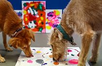 Former rescue dogs Alba and Rosie take part in an exercise to creat a painting at the Bristol Animal Rescue Centre in Bristol, western England, on November 23, 2023.
