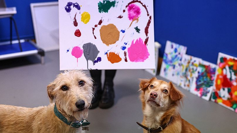 Alba et Rosie, anciennes chiennes de sauvetage, posent avec une peinture qu'elles ont contribué à créer, au Bristol Animal Rescue Centre à Bristol, en Angleterre