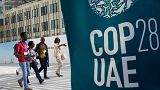 The UN climate summit in Dubai is due to kick off on 30 November. 