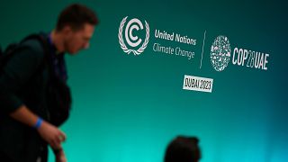 The UN climate summit in Dubai is due to kick off this week. 
