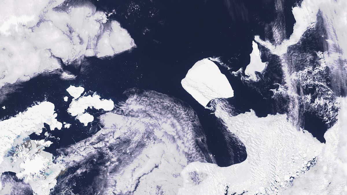 Один из крупнейших в мире айсбергов, известный как A23a, похоже, выходит за пределы антарктических вод, простояв на мели более трех десятилетий.