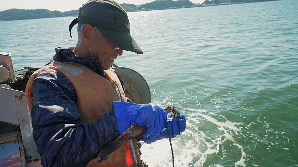 After the tsunami: Japan’s fishing communities look to the future thumbnail