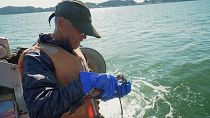 Dopo lo tsunami: le comuntà di pescatori del Giappone guardano al futuro con ottimismo