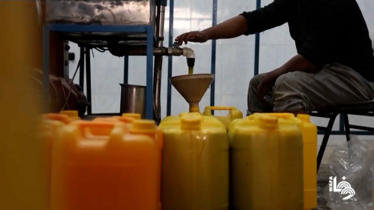مزارعون فلسطينيون يستأنفون إنتاج زيت الزيتون في غزة خلال الهدنة القصيرة