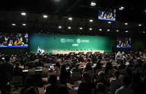 COP28
