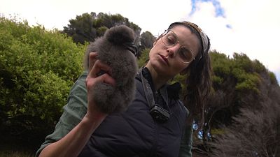 Meet the ecologist spreading her wings in New Zealand to save seabirds
