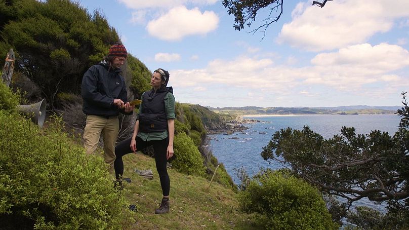 Maira and her long time mentor, Todd Landers, work together tirelessly to study seabirds
