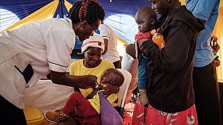 Paludisme:  vaccination à grande échelle en Afrique