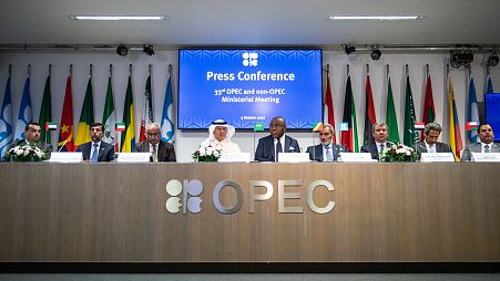Representatives of OPEC member countries attend a press conference after the 45th Joint Ministerial Monitoring Committee and the 33rd OPEC and non-OPEC Ministerial Meeting in 