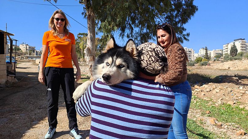 Charities are working together to save animals in the West Bank.