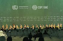 A COP28 résztvevői