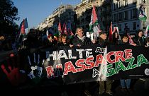 Manifestation pro-palestinienne à Paris