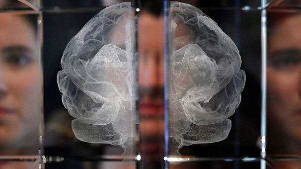 تحقیقات دانشمندان بر تفاوت نیمکره راست و چپ مغز متمرکز شده است