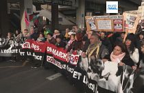 Manifestazione a Parigi contro il disegno di legge sull'immigrazione