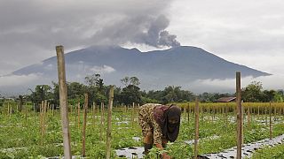 Γυναίκα δουλεύει στο χωράφι της στην Ινδονησία μετά την έκρηξη του ηφαιστείου Μαράπι