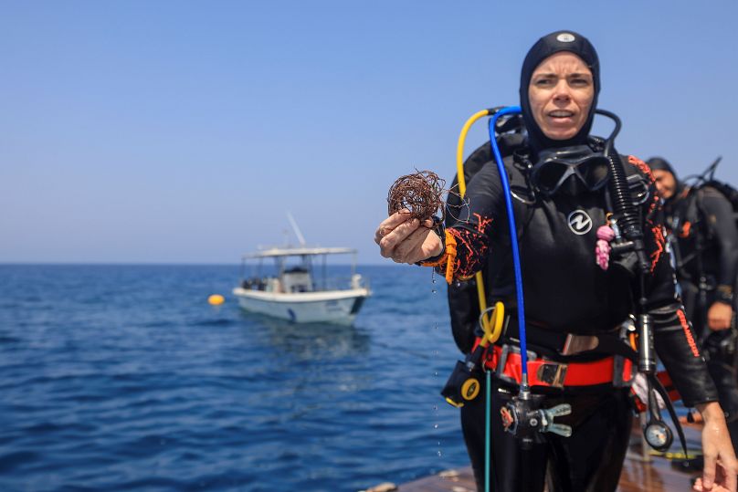 غواصة متطوعة تشارك في حملة إزالة شباك الصيد من الشعاب المرجانية