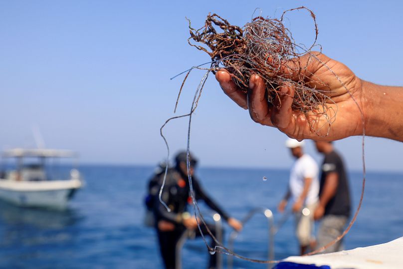 غواص متطوع يشارك في حملة إزالة شباك الصيد من الشعاب المرجانية