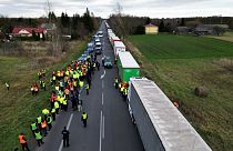 Os camionistas polacos exigem a reintrodução das regras anteriores à guerra para os seus concorrentes ucranianos.