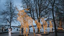 إضاءة عيد الميلاد في ساحة راؤول والنبرغ في وسط ستوكهولم، السويد