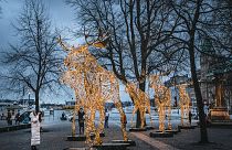 إضاءة عيد الميلاد في ساحة راؤول والنبرغ في وسط ستوكهولم، السويد