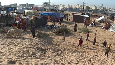  منطقة "المواصي" جنوب قطاع غزة