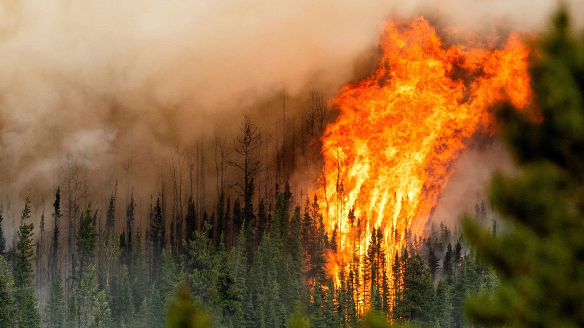 Пламя от лесного пожара горит вдоль хребта в Форт-Сент-Джон, Британская Колумбия, Канада, июль 2023 года. 