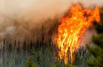 Flames from a wildfire burn along a ridge in Fort St. John, British Columbia, Canada, July 2023. 