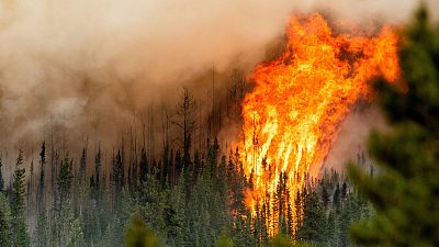 Flames from a wildfire burn along a ridge in Fort St. John, British Columbia, Canada, July 2023. 