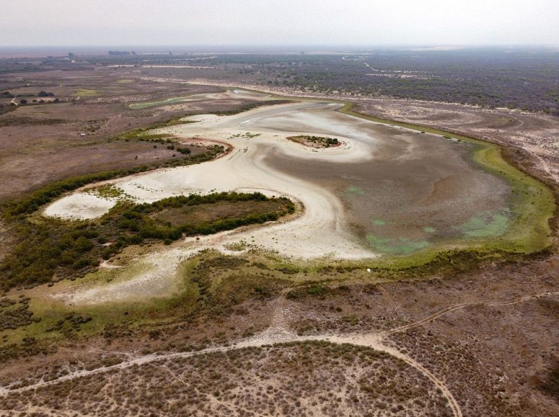 La siccità e l'uso illegale d'acqua hanno prosciugato le zone umide del parco di Doñana