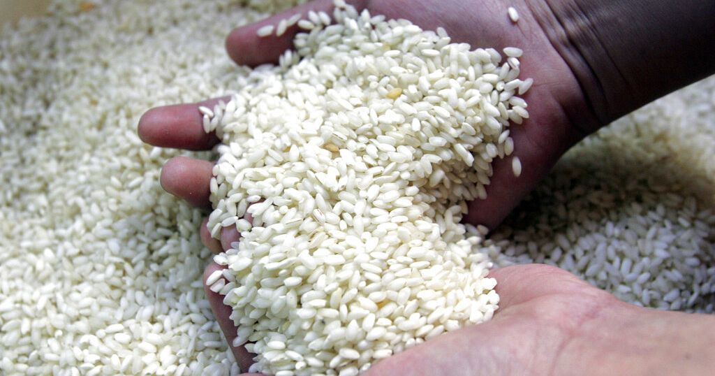 Nigeria: Rice prices skyrocket as local production declines