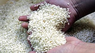 Nigeria: Rice prices skyrocket as local production declines