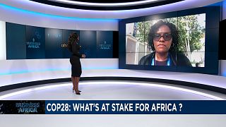 Africa's response to COP28 challenges and economic dynamics