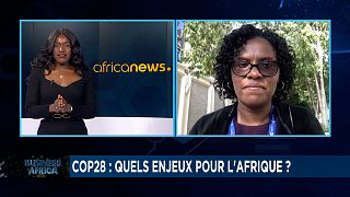 COP 28 : quels enjeux pour l'Afrique ? [Business Africa]
