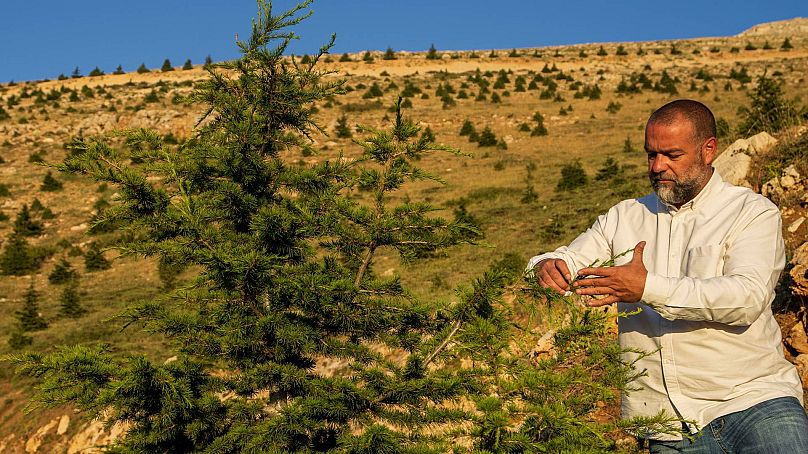 Charbel Tawk looks after a cedar tree as part of a forestation initiative in the northeast mountain town of Bcharre, Lebanon, 22 July 2023.