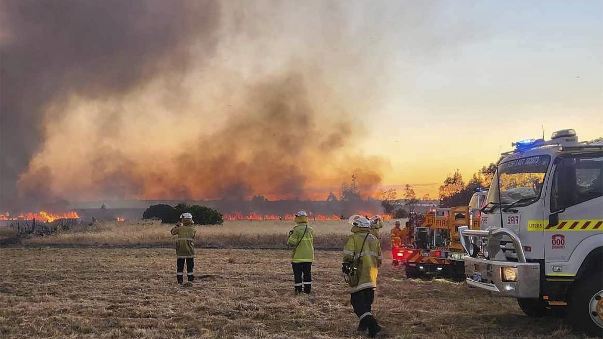 Des pompiers d'Australie occidentale observent une prairie brûler près de la ville de Wannaroo, au nord de Perth, aux premières heures du jeudi 23 novembre 2023.