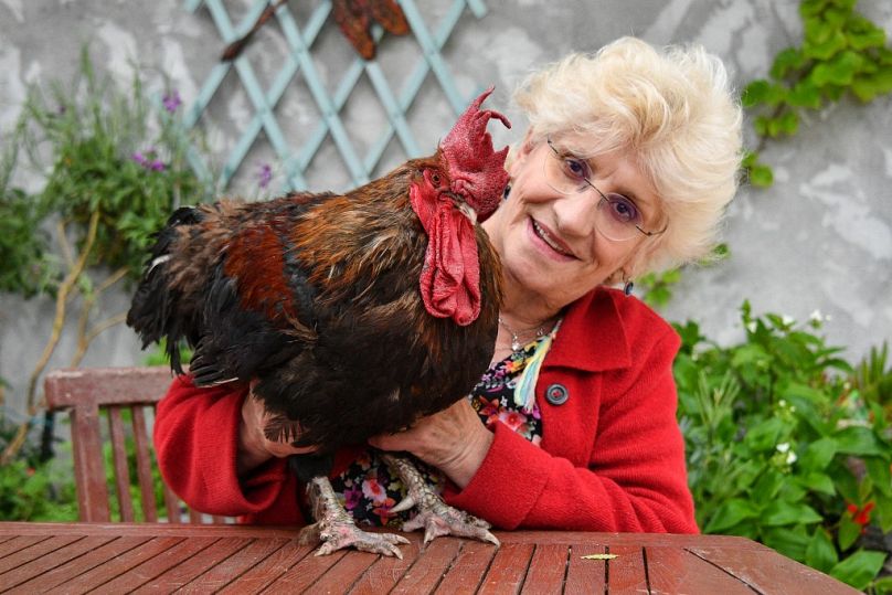 Corinne Fesseau poses with her rooster "Maurice" in her garden at Saint-Pierre-d'Oleron in La Rochelle, western France, on June 5, 2019