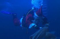 Santa in scuba gear feeds fishes in Germany