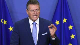 European Union commission Vice-President Maros Sefcovic