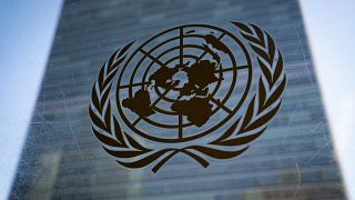 Nigeria: UN calls for "impartial" investigation after deadly drone attack on civilians