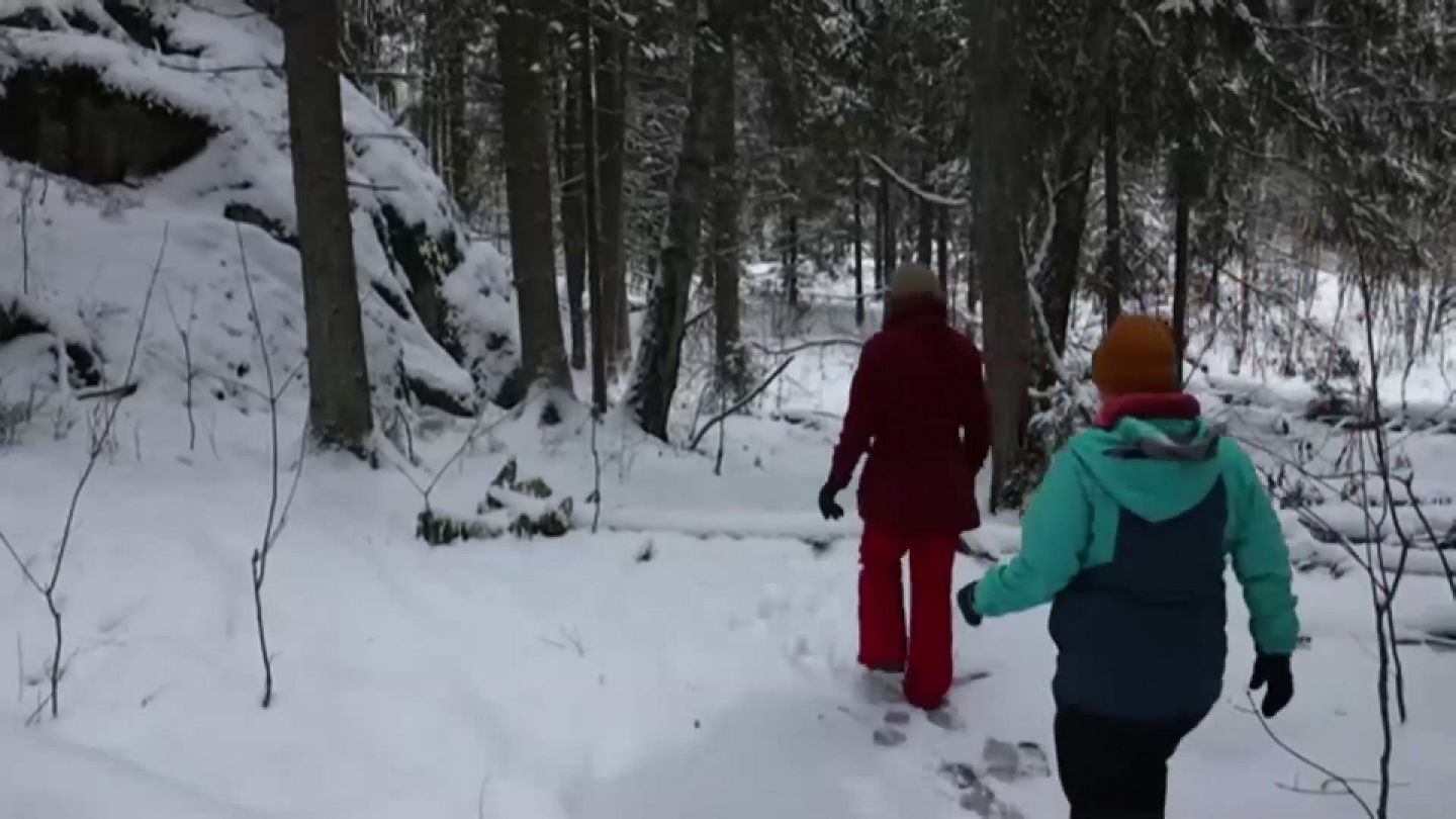 Can you believe? This is how 15 minutes in a forest affects you! – FINLAND,  NATURALLY