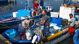 Pescadores italianos preparan sus artes de pesca en el puerto de Pozzuoli en la bahía de Nápoles, Italia, el jueves 29 de septiembre de 2016.