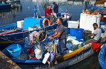 Pescadores italianos preparan sus artes de pesca en el puerto de Pozzuoli en la bahía de Nápoles, Italia, el jueves 29 de septiembre de 2016.