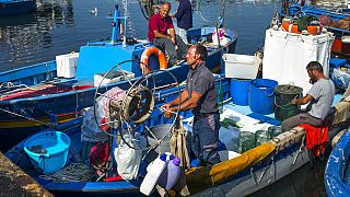 Pescadores italianos preparan sus artes de pesca en el puerto de Pozzuoli en la bahía de Nápoles, Italia, el jueves 29 de septiembre de 2016.